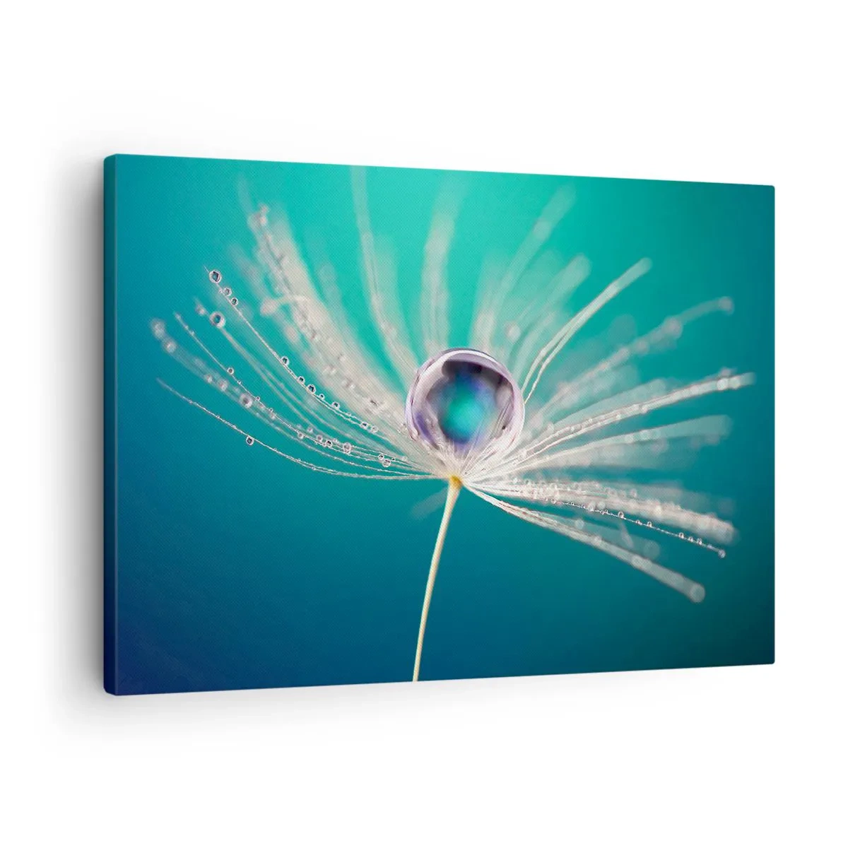Vászonkép - Makró egy csepp vízről egy finom pitypangmagon - 70x50cm - Misztikus pillanat - Modern fali dekoráció nappalihoz és hálószobához ARTTOR
