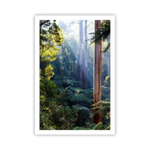 Poszter - Erdei mese - 61x91 cm
