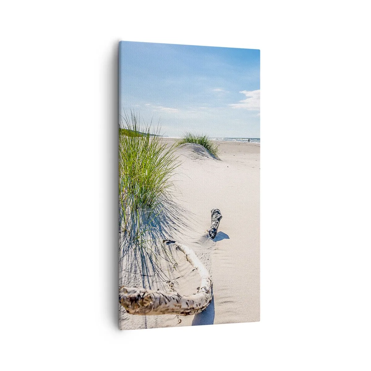 Vászonkép - A leggyönyörűbb? A Balti - 55x100 cm