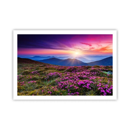 Poszter - A gyógynövények friss fürtjei illatoztak a mezőkről - 91x61 cm