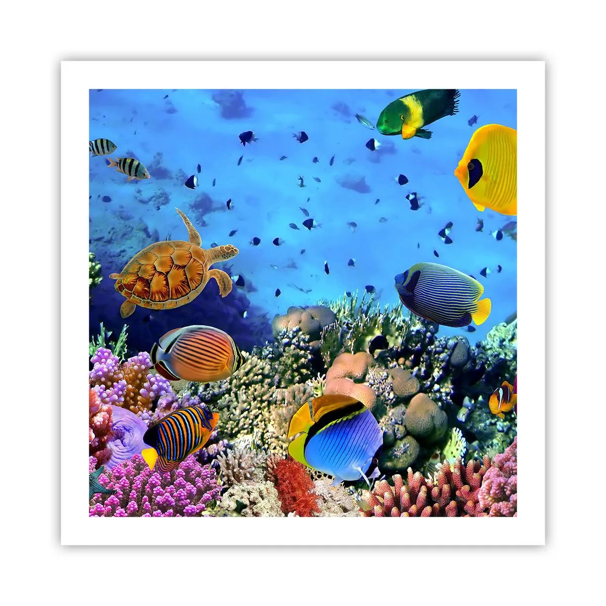 Poszter - És mit tudunk az életről... - 60x60 cm