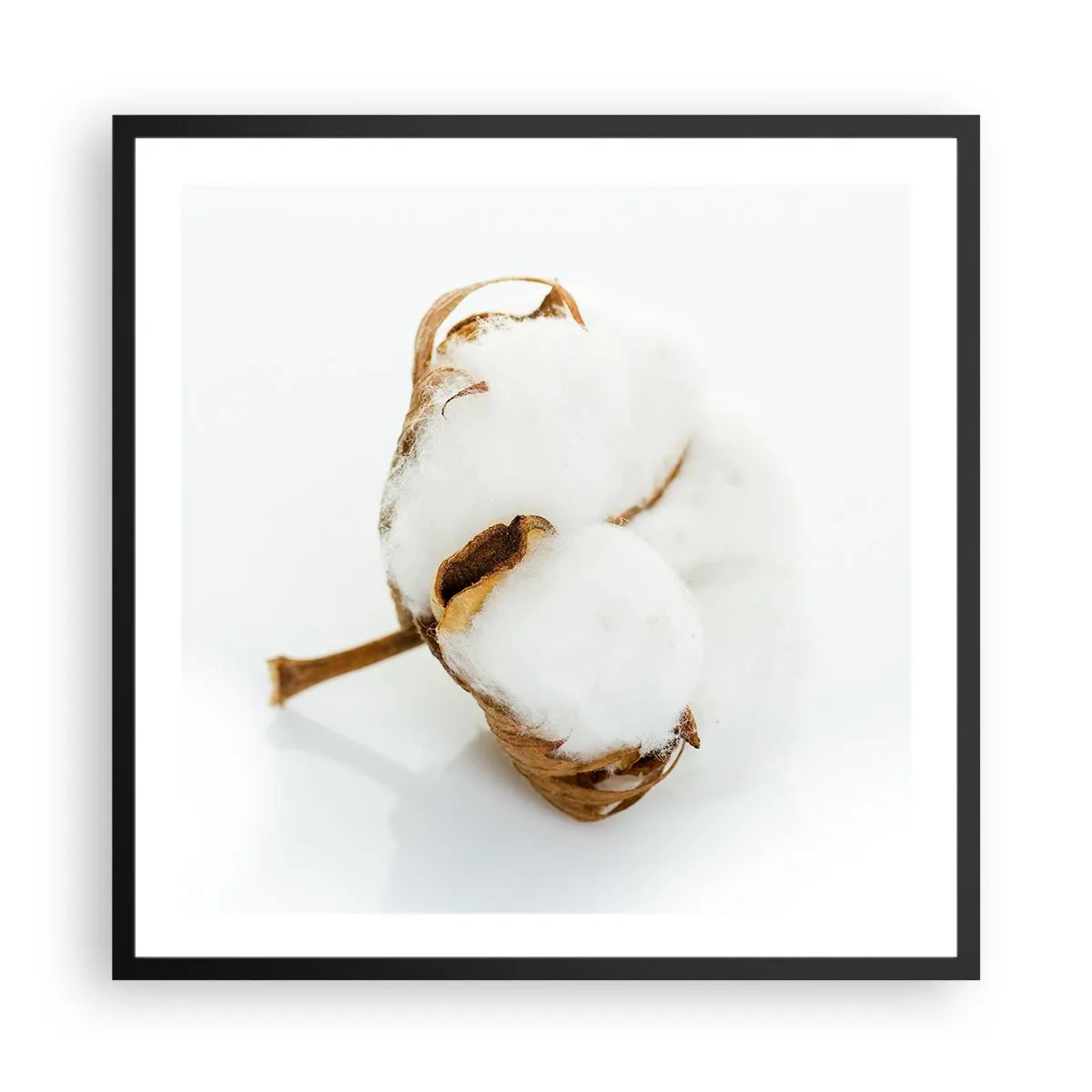 Poszter fehér keretben - Lágy természetű - 60x60 cm