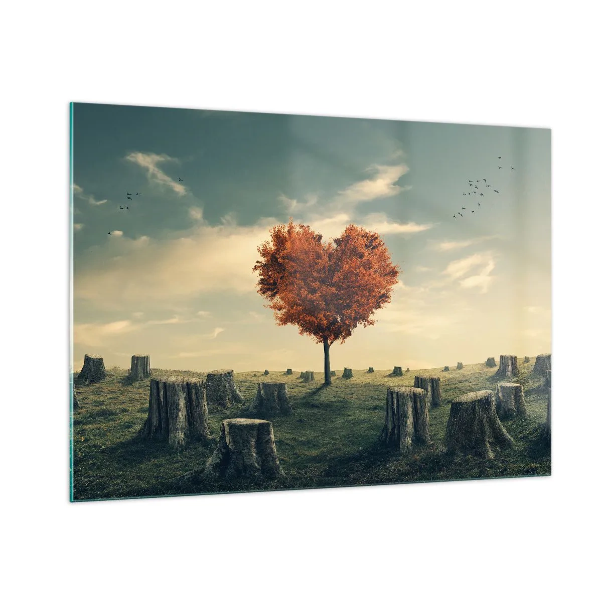 Üveg kép - Még mindig van remény - 100x70 cm