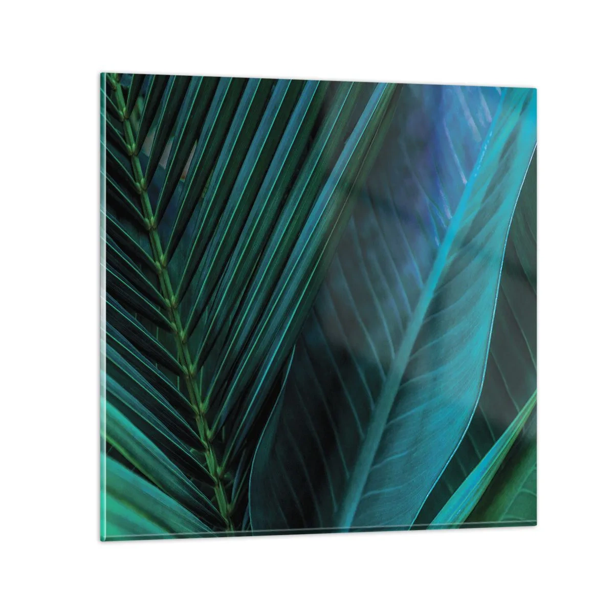 Üveg kép - A zöld anatómiája - 70x70 cm