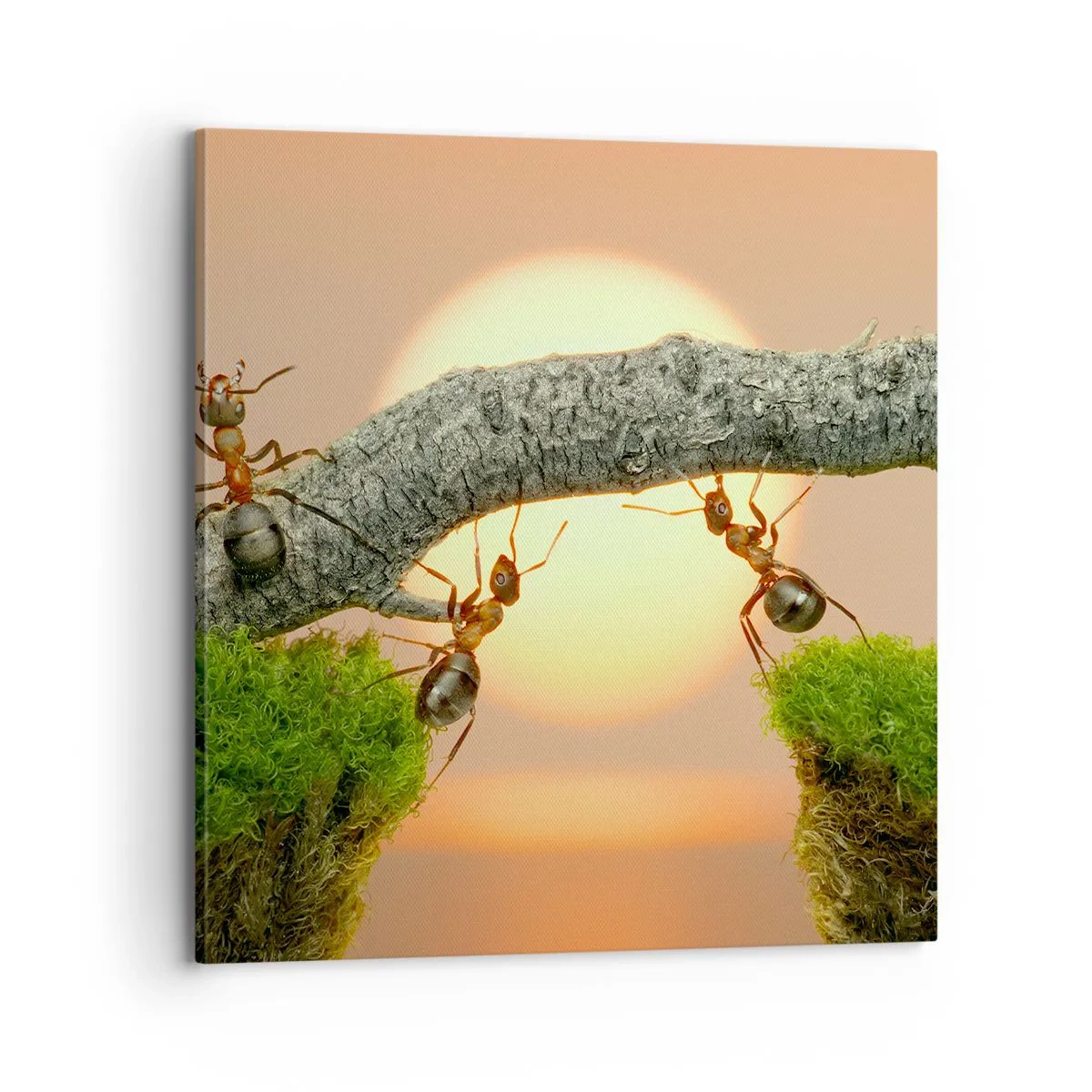 Vászonkép - Boldog, közös munka - 70x70 cm