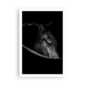 Poszter - Fekete herceg - 61x91 cm