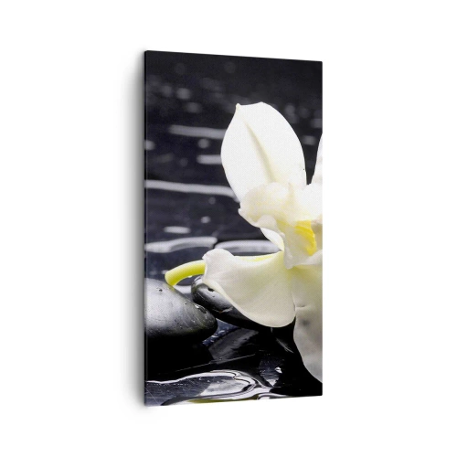 Vászonkép - Egy tanulmány fekete-fehérben - 45x80 cm