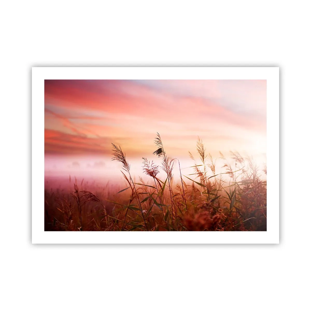 Poszter - Sárkányok, pitypangok, szél - 70x50 cm