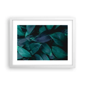Poszter fekete keretben - Maga a zöldellő növényzet - 40x30 cm