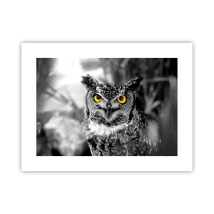 Poszter - Semmi sem fog elbújni - 40x30 cm