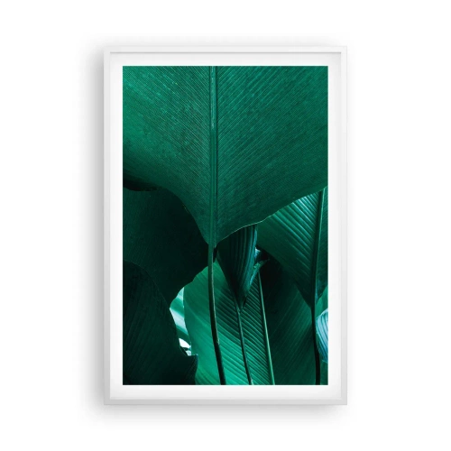 Poszter fekete keretben - A fény felé nézve - 61x91 cm