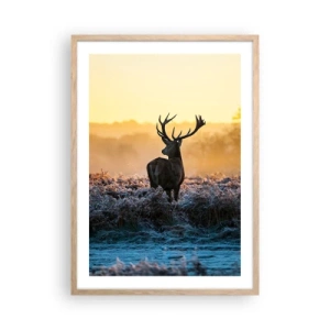 Poszter világos tölgy keretben - Megkoronázott a birtokán - 50x70 cm