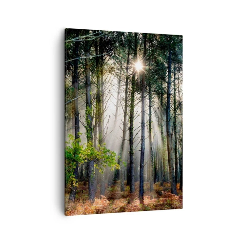 Vászonkép - Az erdő szépsége - 50x70 cm