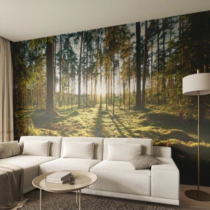 Öntapadós Fotótapéta Deluxe Sticker - … A hét erdőn túl - Tájkép, Erdő, Természet - 100x70 cm
