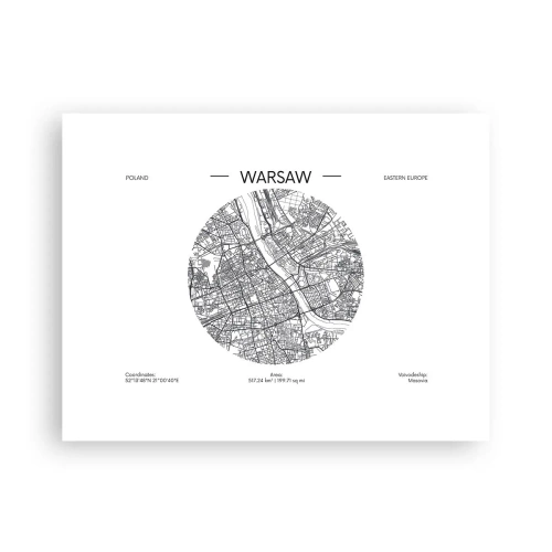 Poszter - Varsó anatómiája - 40x30 cm