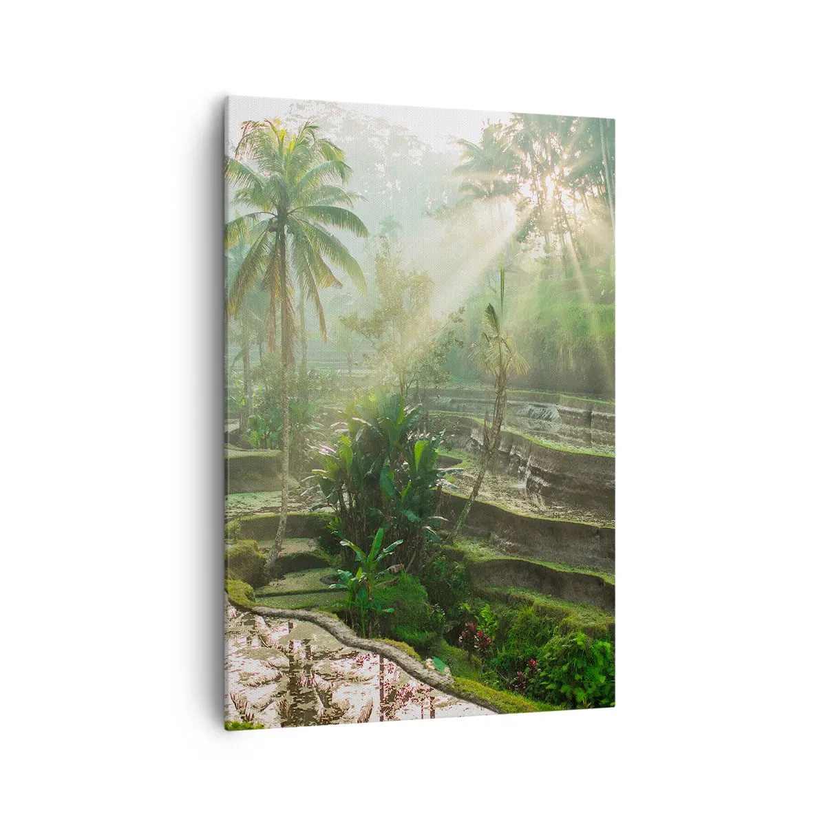 Vászonkép - Felnőni a napon - 70x100 cm