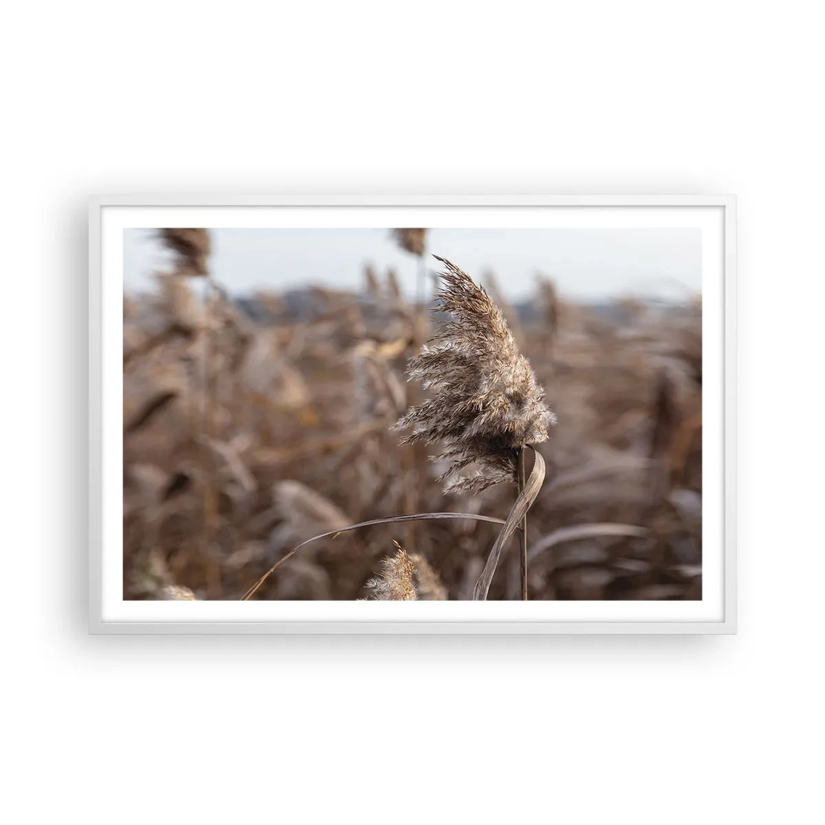 Poszter fekete keretben - Ideje elrepülni a széllel - 91x61 cm