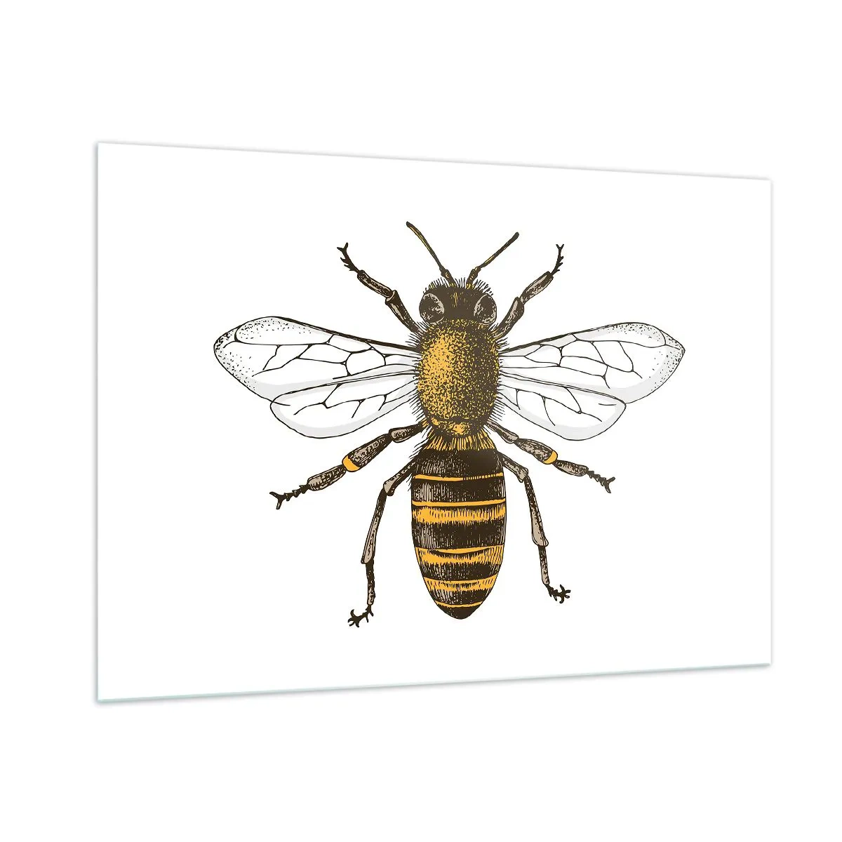 Üveg kép - Gyönyörű és jó - 100x70 cm