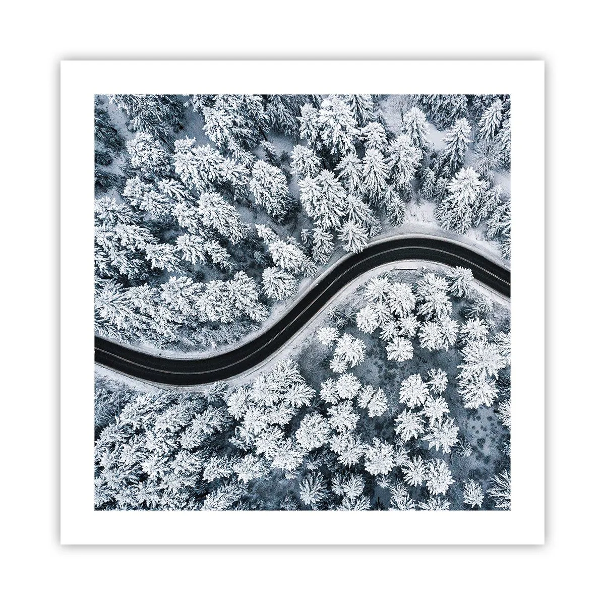 Poszter - A téli erdőn - 50x50 cm