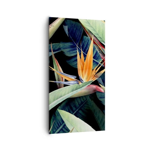 Vászonkép - A trópusok lángoló virágai - 65x120 cm