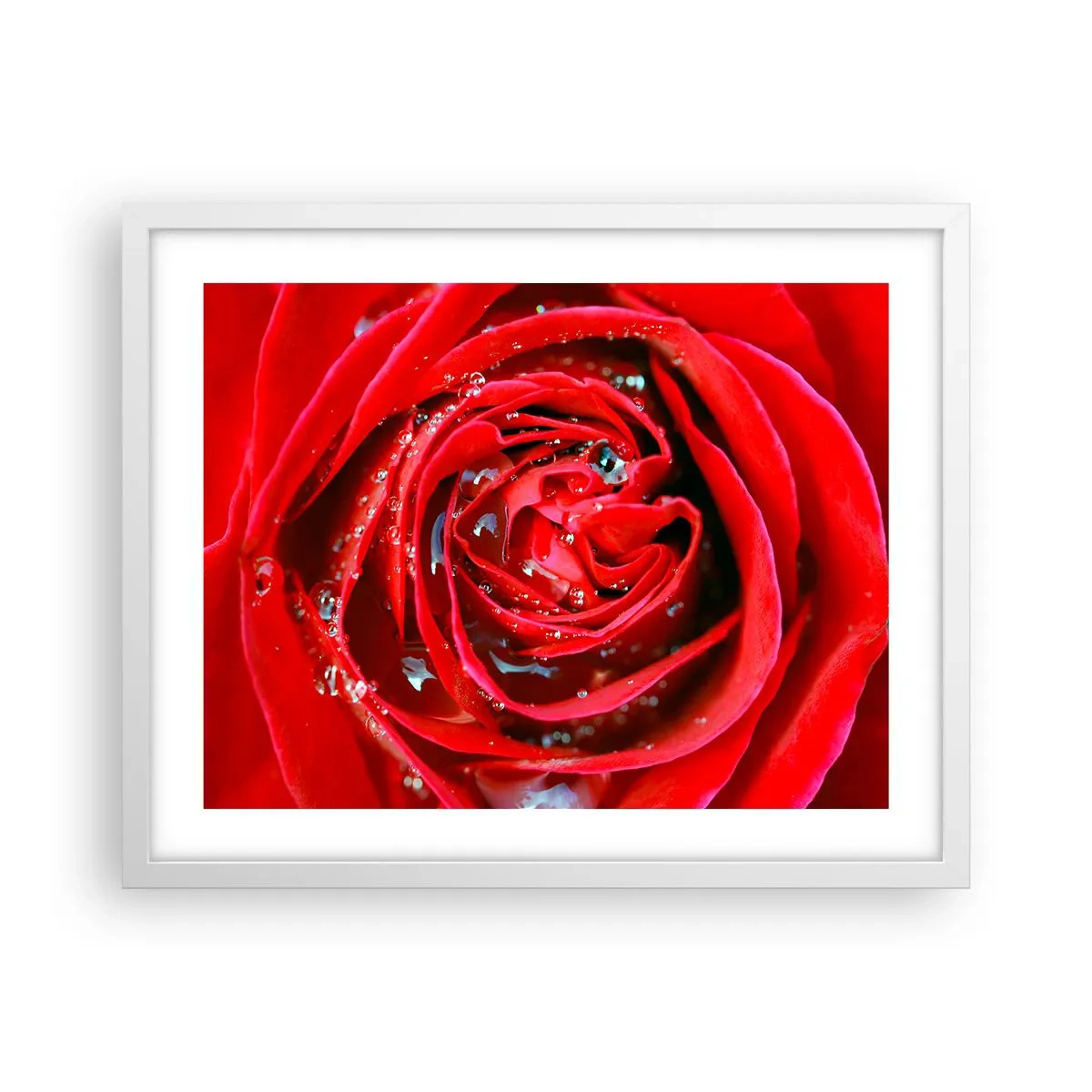 Poszter fekete keretben - A harmatcseppekben - 50x40 cm