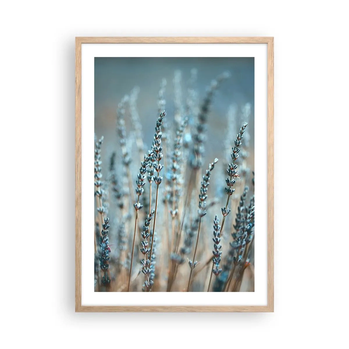 Poszter világos tölgy keretben - Illatos szálak - 50x70 cm