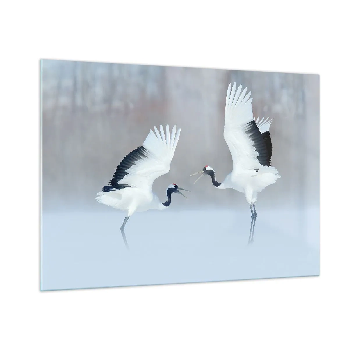 Üveg kép - Tánc a ködben - 100x70 cm