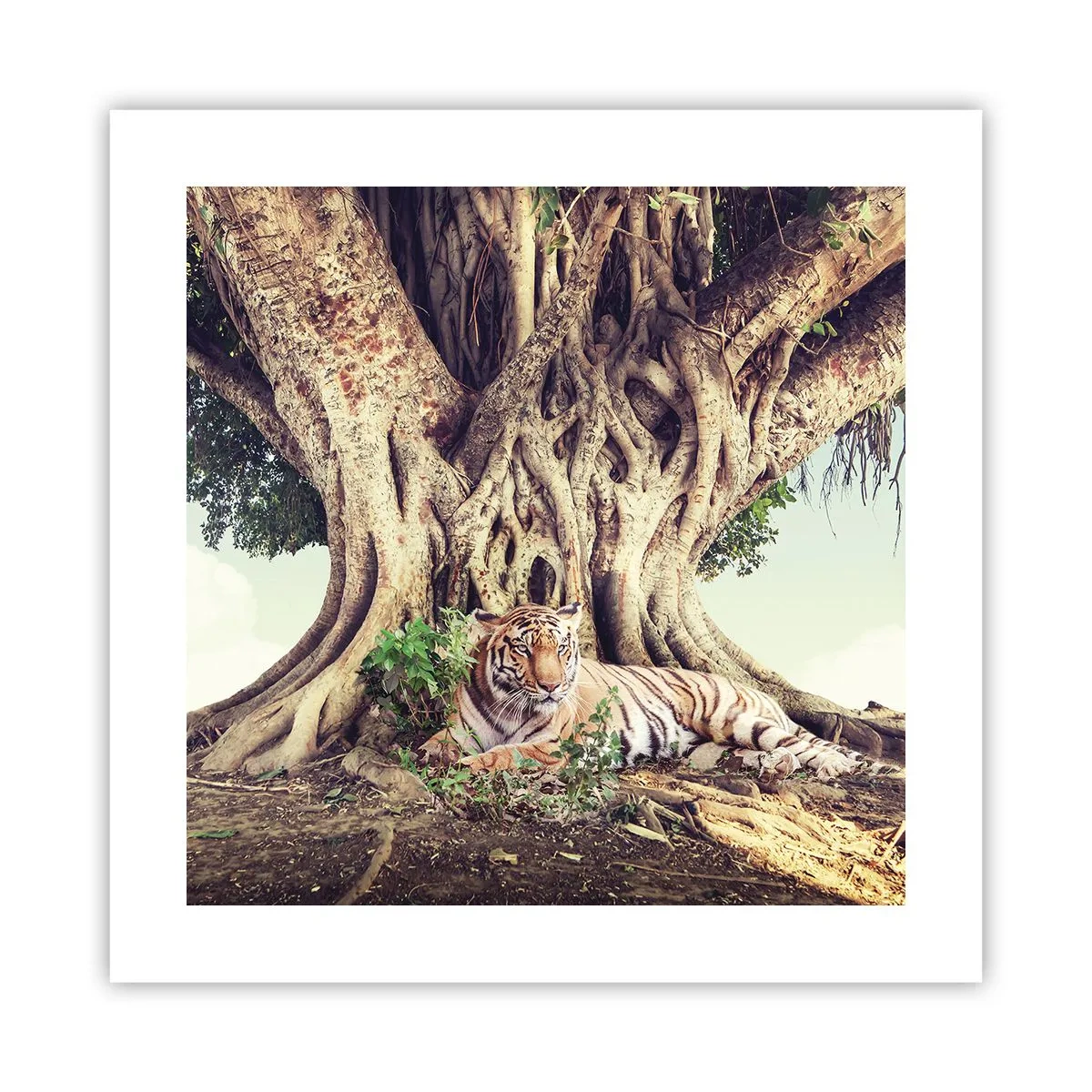 Poszter - Kilátás a Genezis könyvéből - 40x40 cm