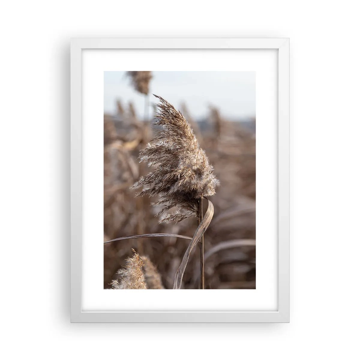 Poszter fekete keretben - Ideje elrepülni a széllel - 30x40 cm