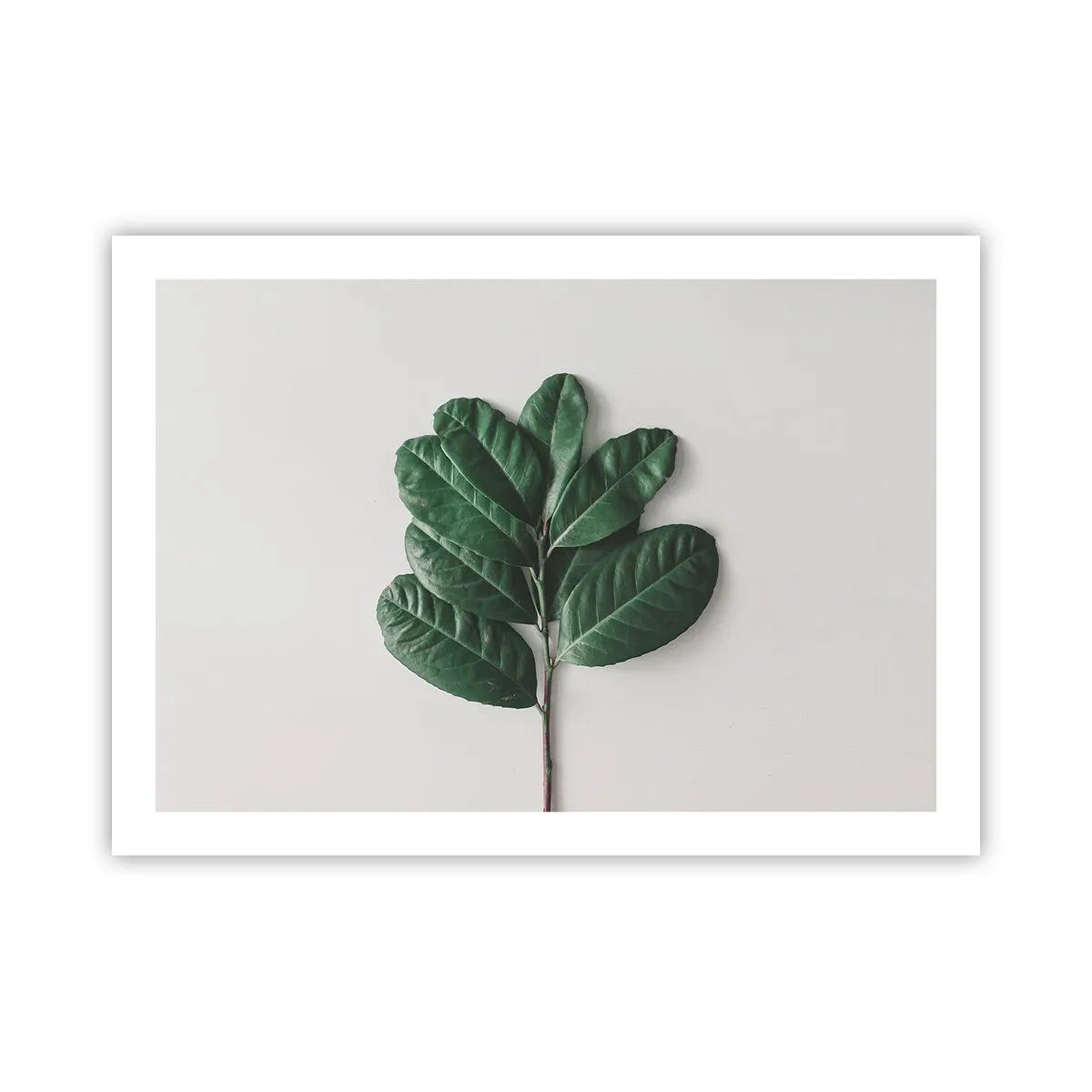 Poszter - Rajz csak a természetről - 70x50 cm