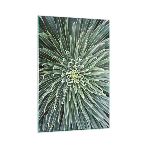 Üveg kép - Csillag születik - 80x120 cm