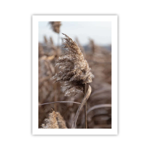 Poszter - Ideje elrepülni a széllel - 50x70 cm