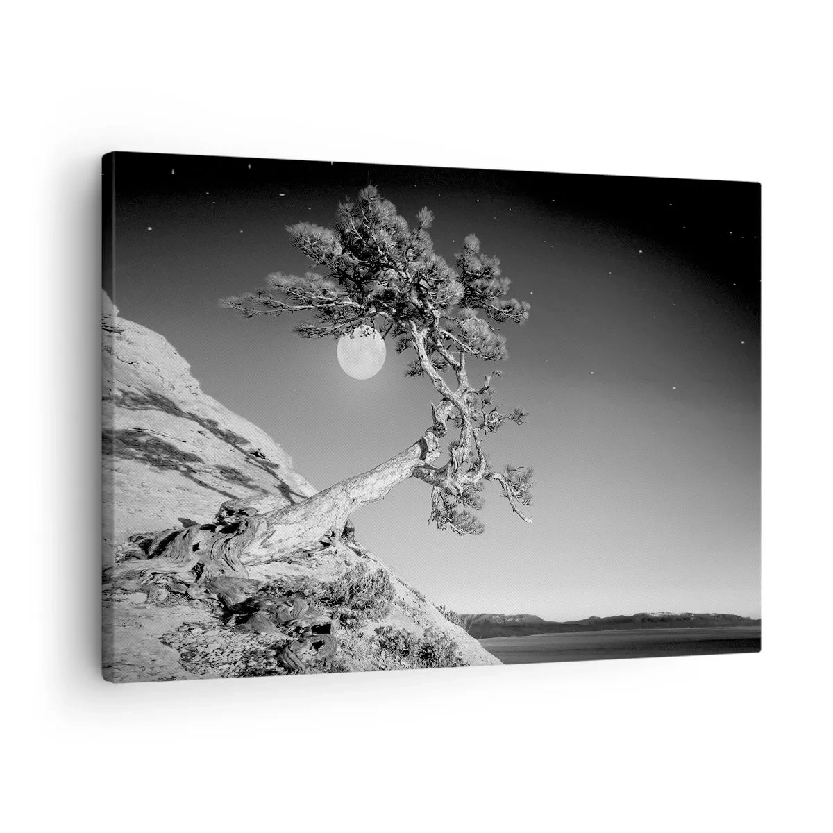 Vászonkép - Fekete-fehér fa egy sziklán, a háttérben a holddal - 70x50cm - Győztes harcos - Modern fali dekoráció nappalihoz és hálószobához ARTTOR
