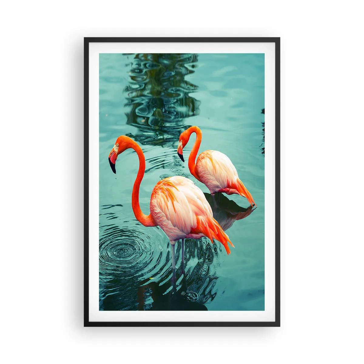 Poszter fehér keretben - Most divatban vagyunk - 61x91 cm