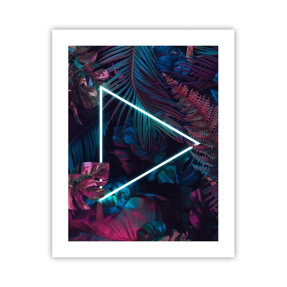Poszter - Disco stílusú kert - 40x50 cm