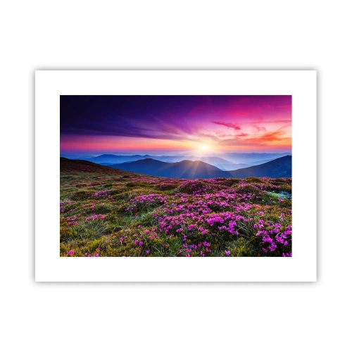 Poszter - A gyógynövények friss fürtjei illatoztak a mezőkről - 40x30 cm