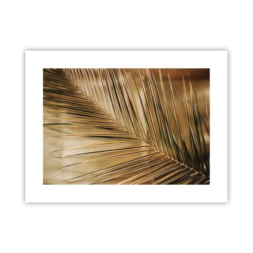 Poszter - Természetes oszlopsor - 40x30 cm