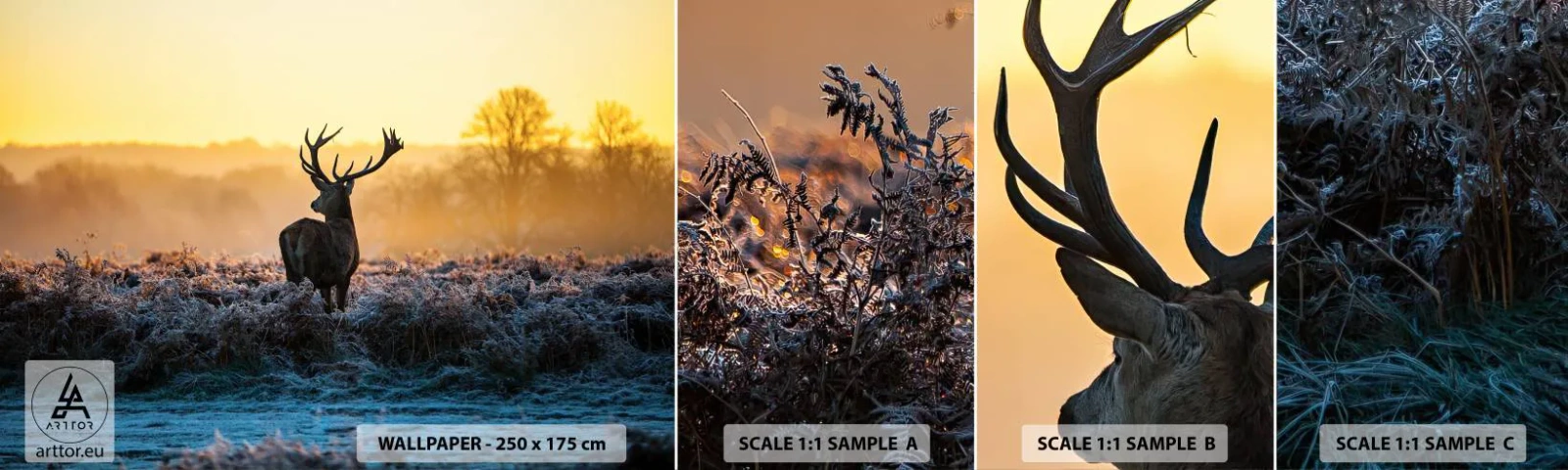 Fotótapéta Minta Standard Eco - Megkoronázott a birtokán - Tájkép, Állatok, Szarvas - 100x30 cm