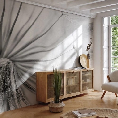 Fotótapéta Standard Eco - Pitypang makrófotózása fekete-fehérben - 100x70cm - Pitypang, papírsárkány - Modern fali dekoráció nappalihoz és hálószobához ARTTOR