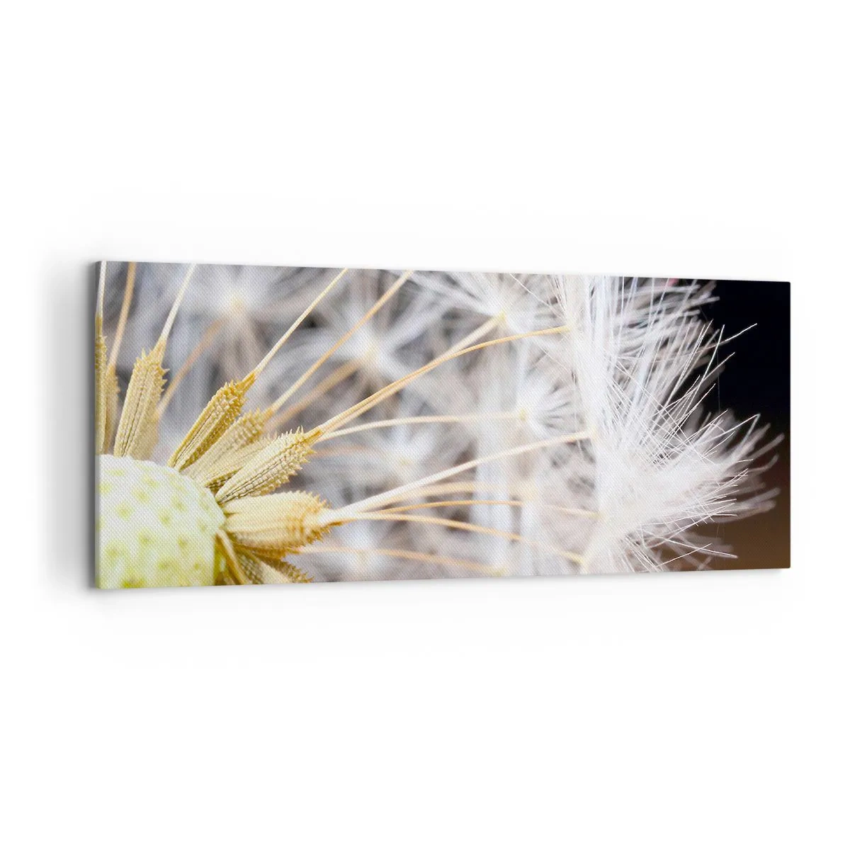 Vászonkép - Közvetlenül az indulás előtt - 120x50 cm