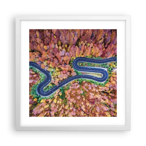 Poszter fekete keretben - Kanyargós út az erdőn keresztül - 40x40 cm