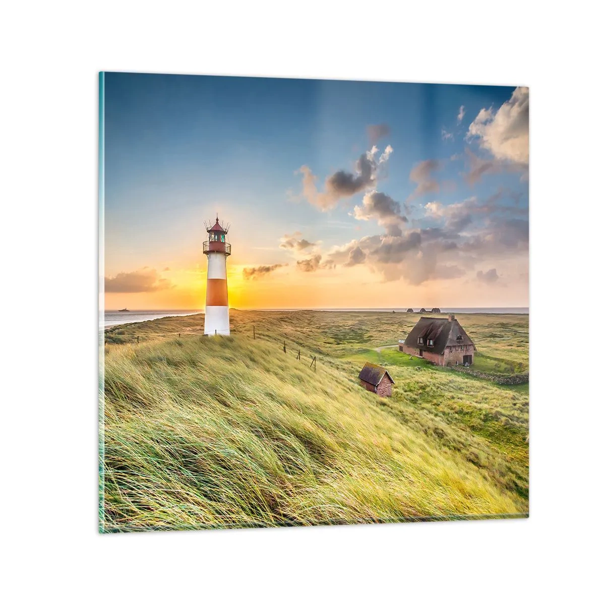 Üveg kép - A hullámok között - 70x70 cm