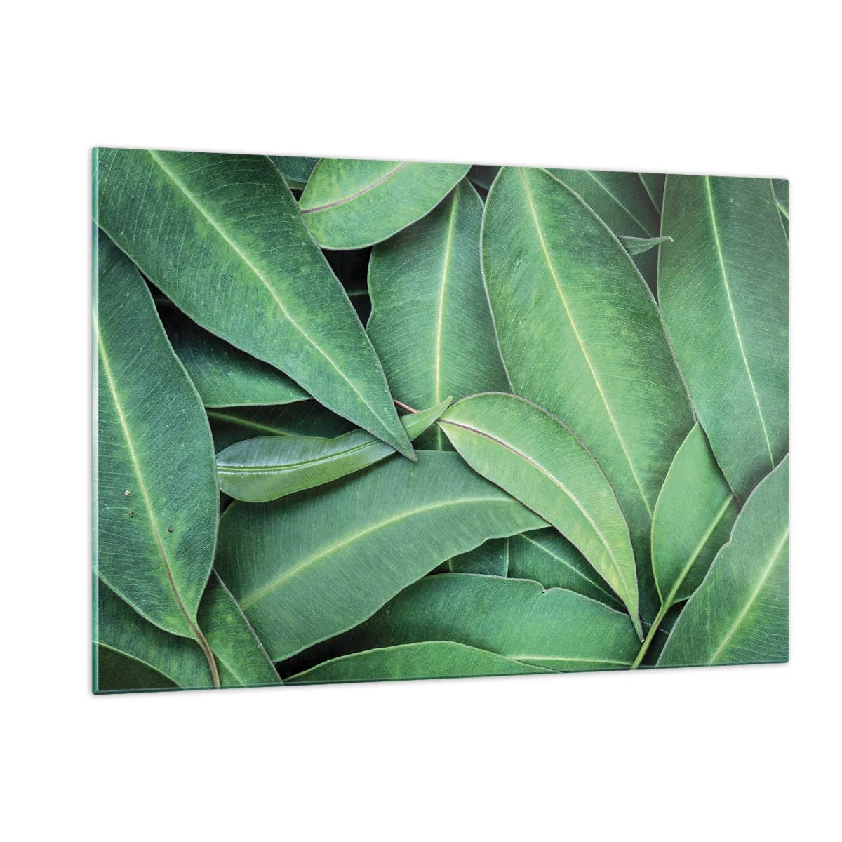 Üveg kép - Lédús és friss - 120x80 cm