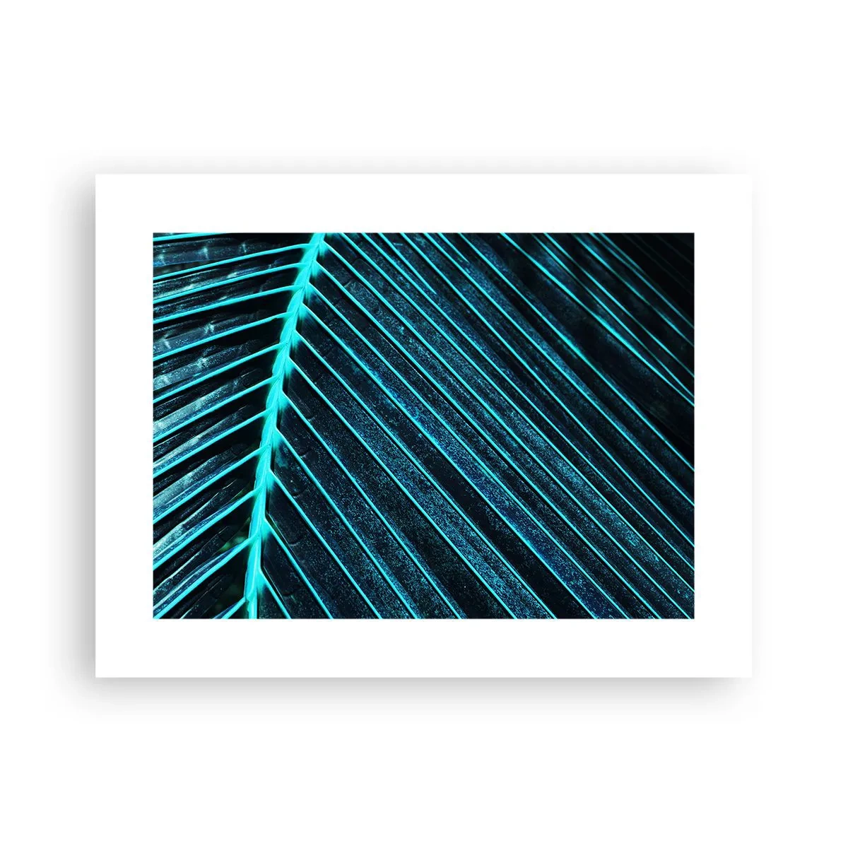 Poszter - A zöld textúrája - 40x30 cm