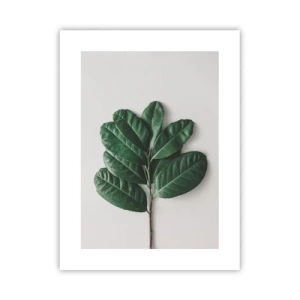 Poszter - Rajz csak a természetről - 30x40 cm