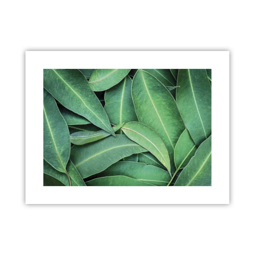 Poszter - Lédús és friss - 40x30 cm