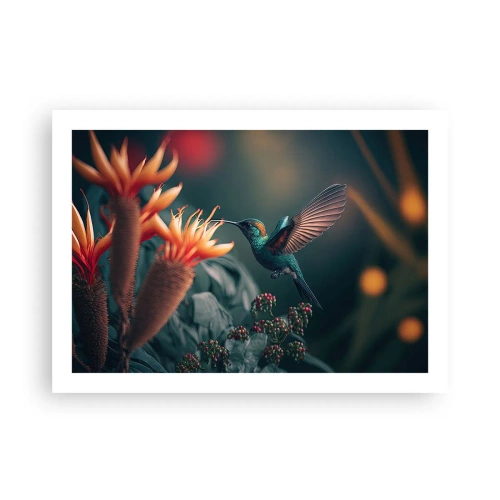 Poszter - Egy igazán színes élet - 70x50 cm