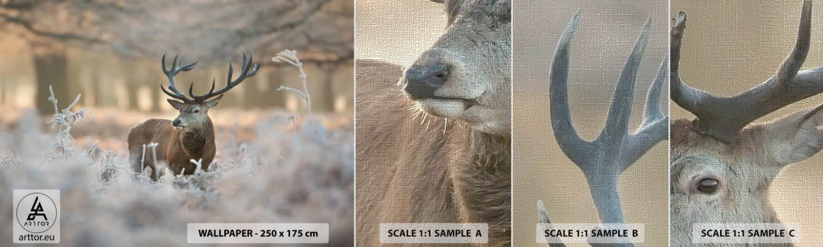 Fotótapéta Minta Premium Canvas - Friss reggel - Tájkép, Szarvas, Állatok - 100x30 cm