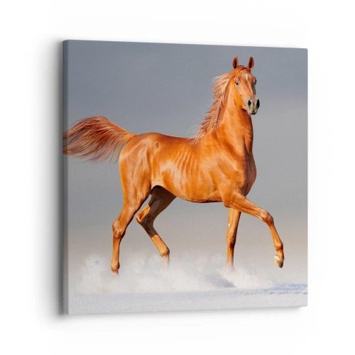 Vászonkép - Táncoló szépség - 30x30 cm