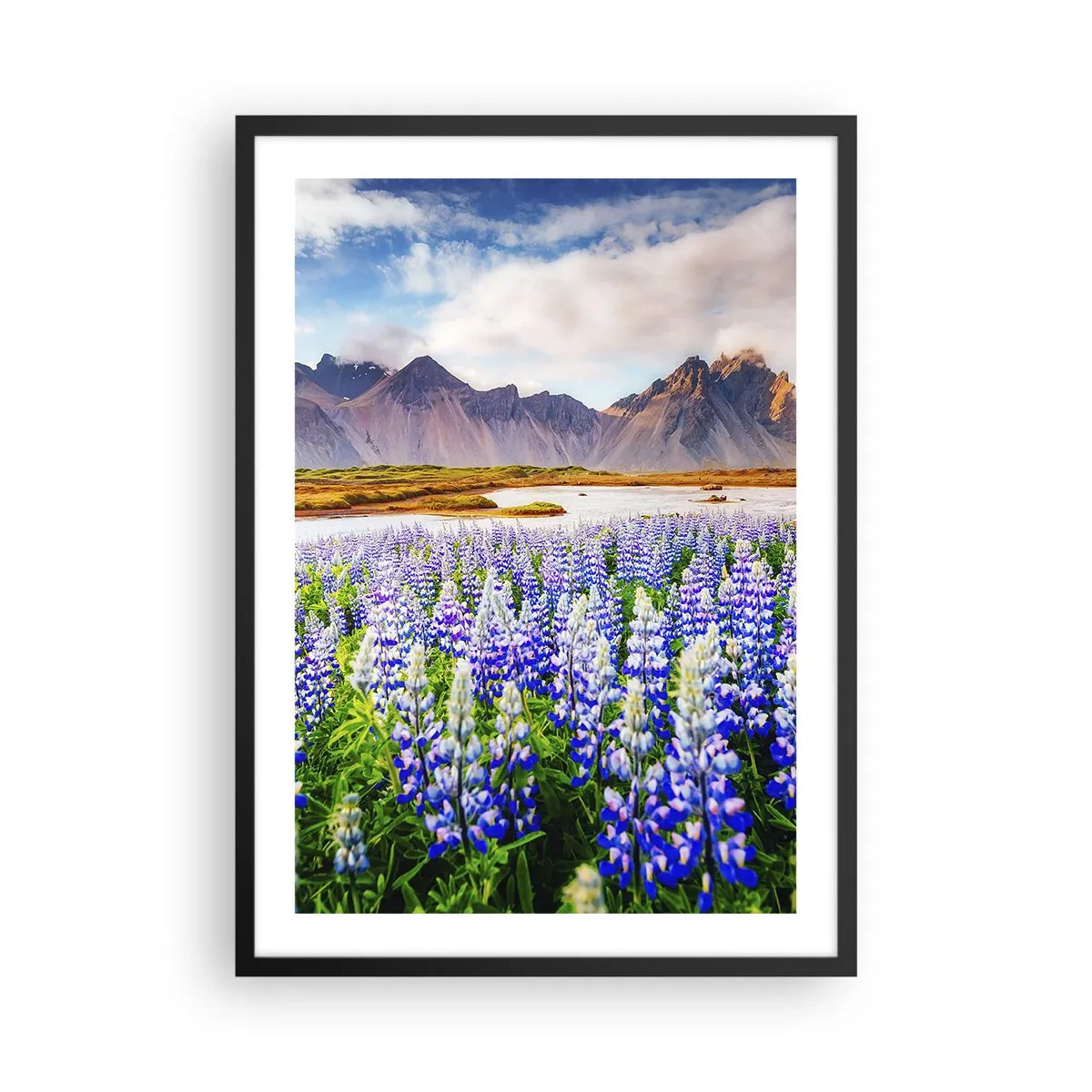 Poszter fehér keretben - Csillagfürtmező hegyekkel a háttérben - 50x70cm - Erő és szigorúság a szelídség mellett - Modern fali dekoráció nappalihoz és hálószobához ARTTOR
